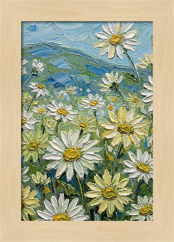 Daisy Landscape In Bloom