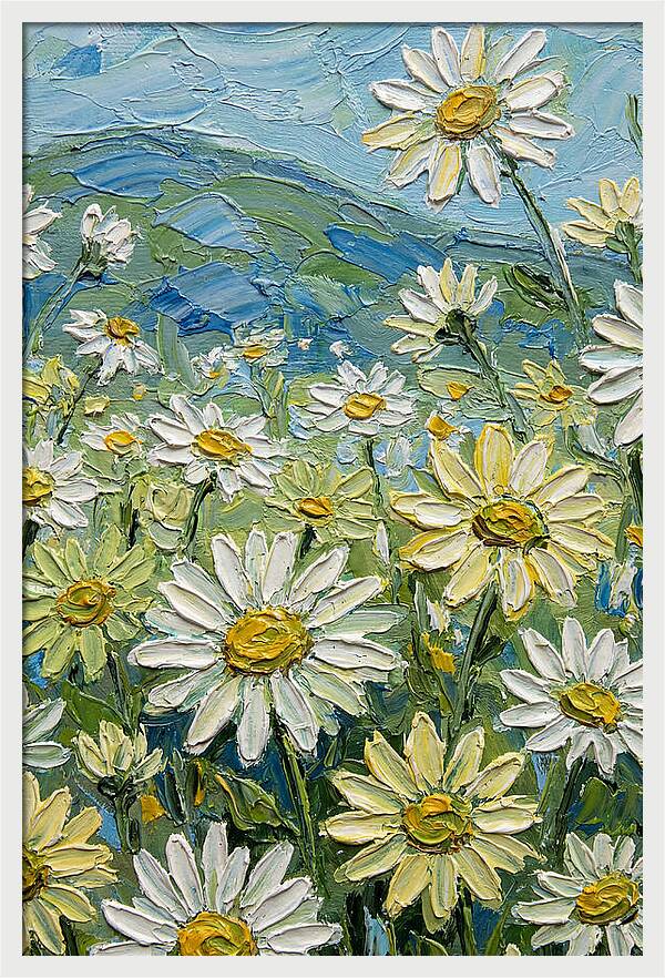Daisy Landscape In Bloom