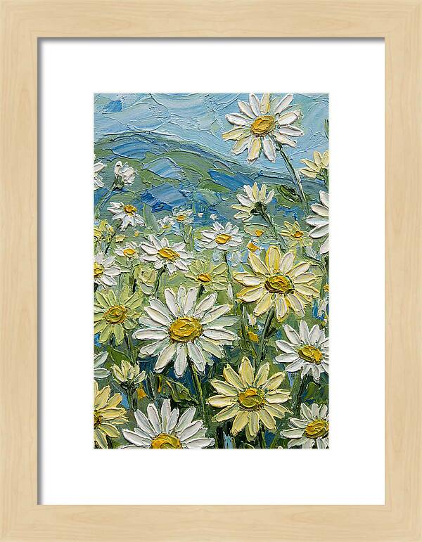 Daisy Landscape In Bloom