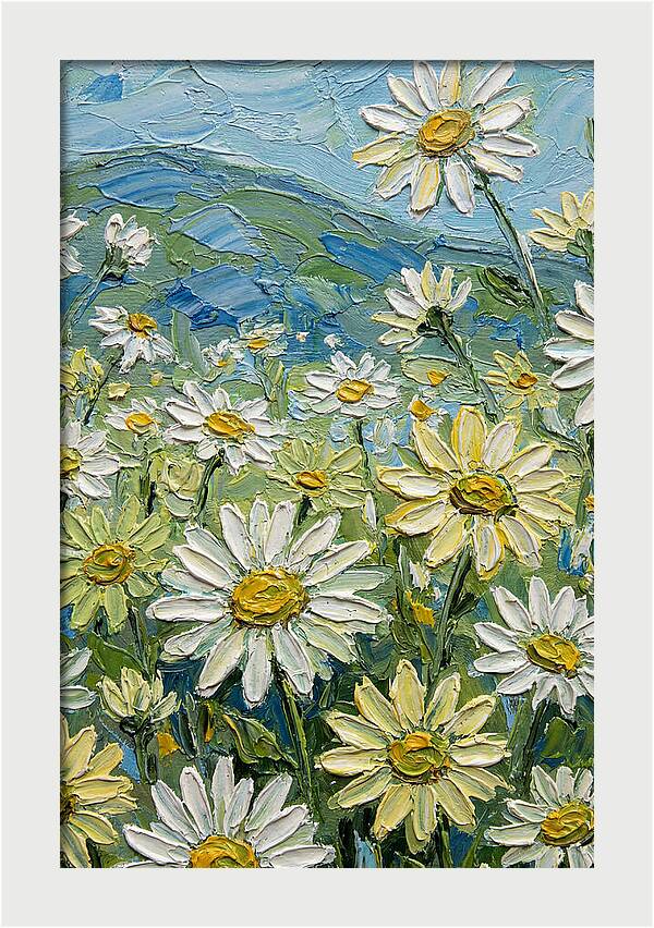 Daisy Landscape In Bloom