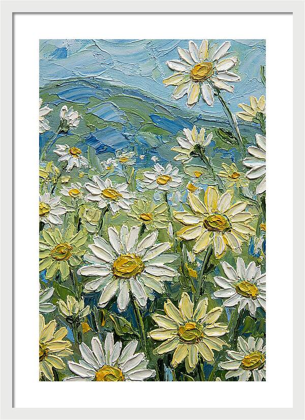 Daisy Landscape In Bloom