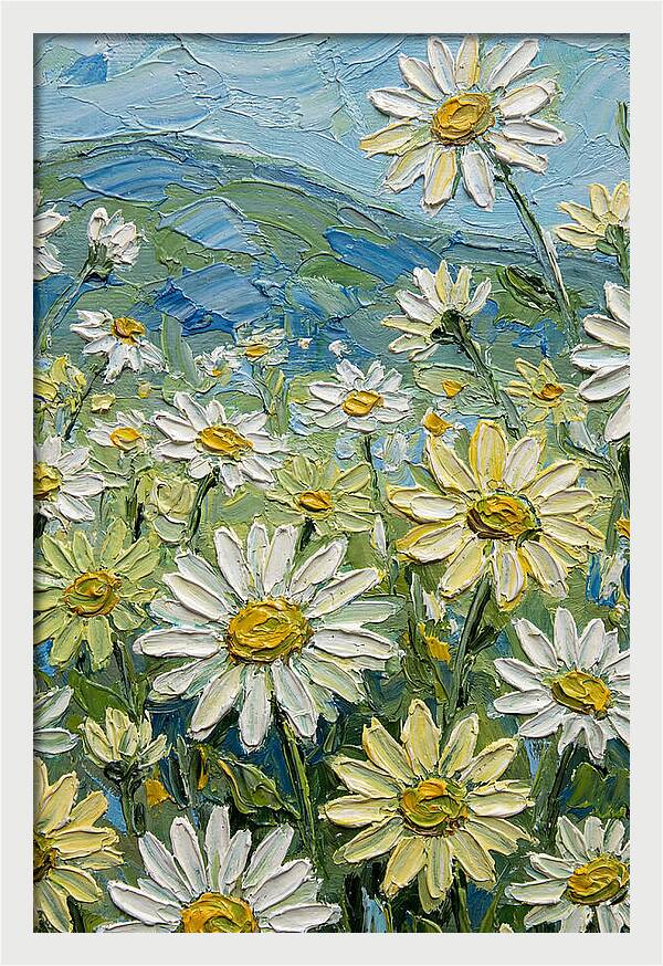 Daisy Landscape In Bloom