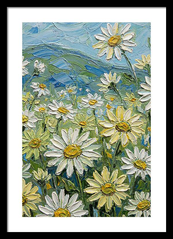 Daisy Landscape In Bloom