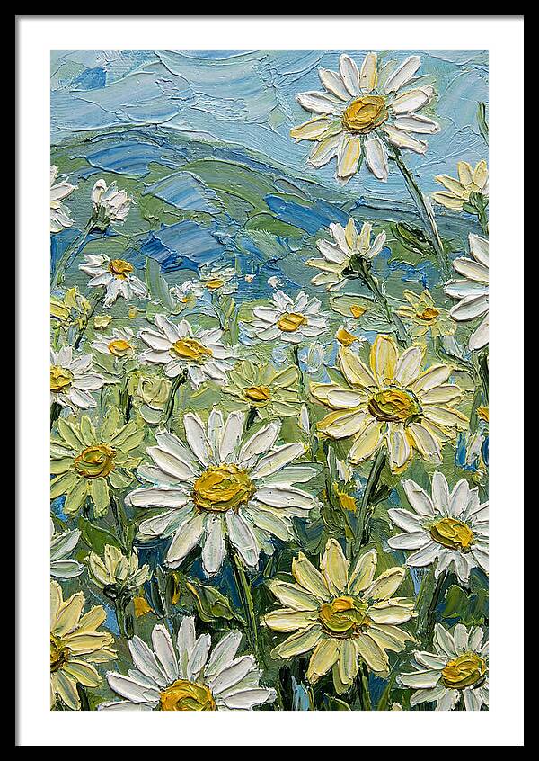 Daisy Landscape In Bloom