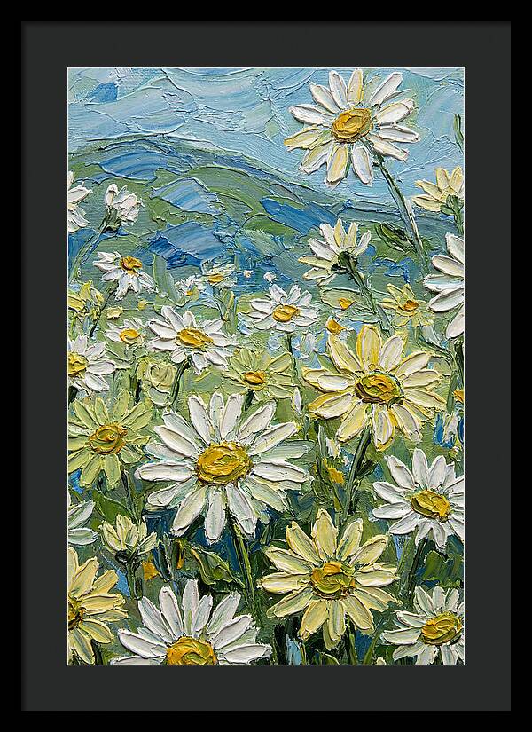Daisy Landscape In Bloom