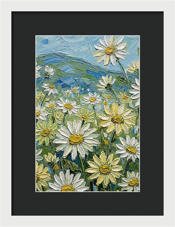 Daisy Landscape In Bloom