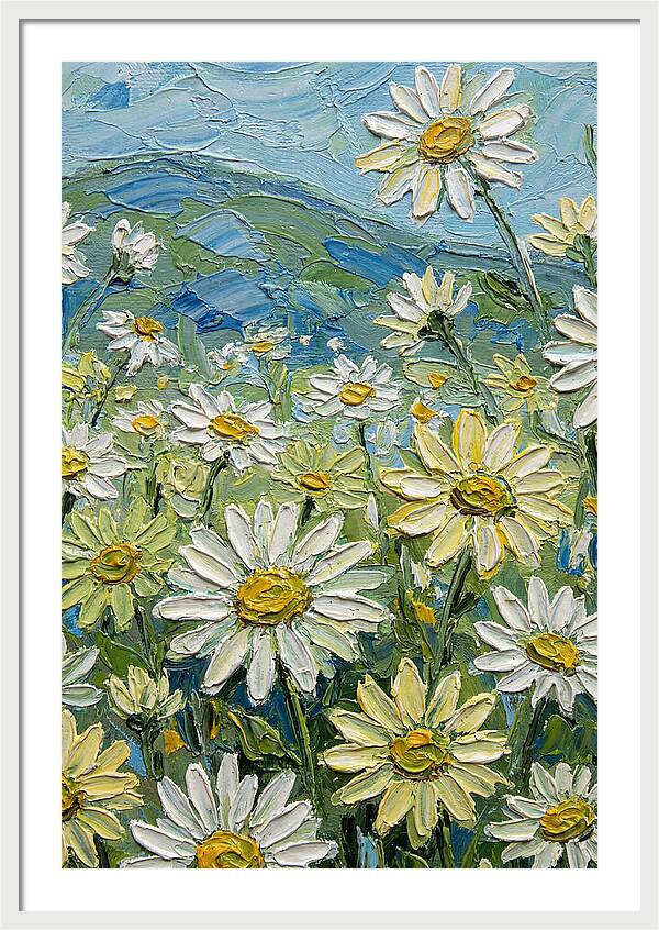 Daisy Landscape In Bloom