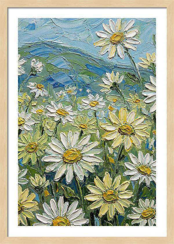 Daisy Landscape In Bloom