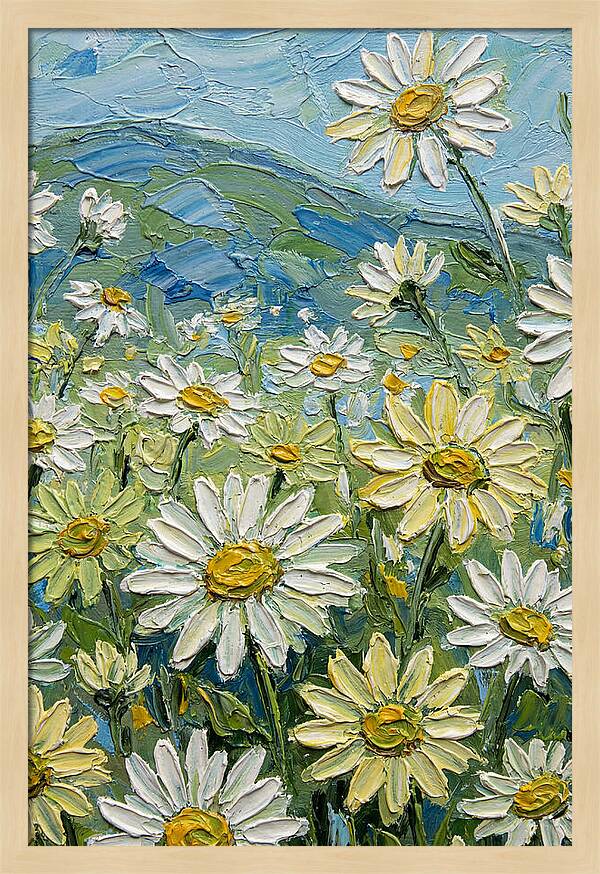 Daisy Landscape In Bloom
