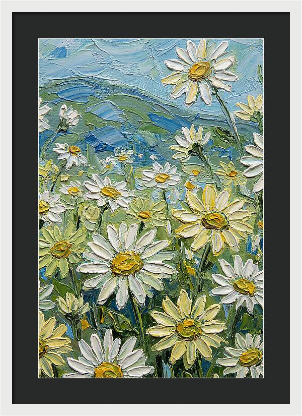 Daisy Landscape In Bloom