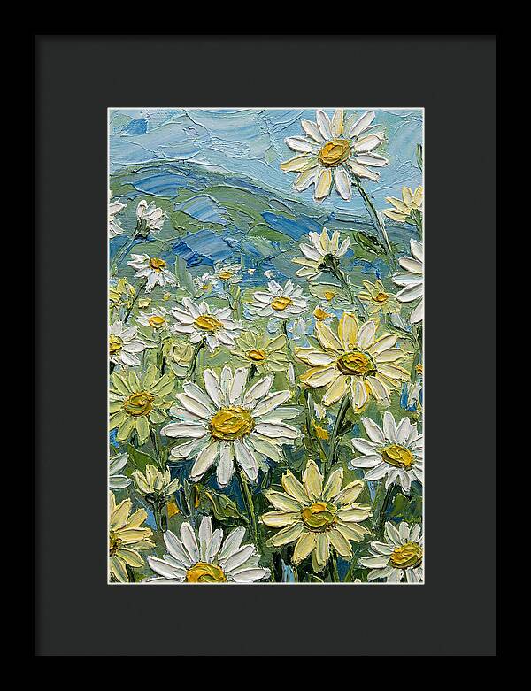 Daisy Landscape In Bloom