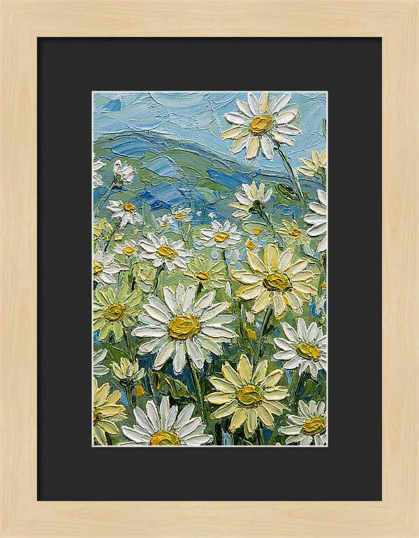 Daisy Landscape In Bloom