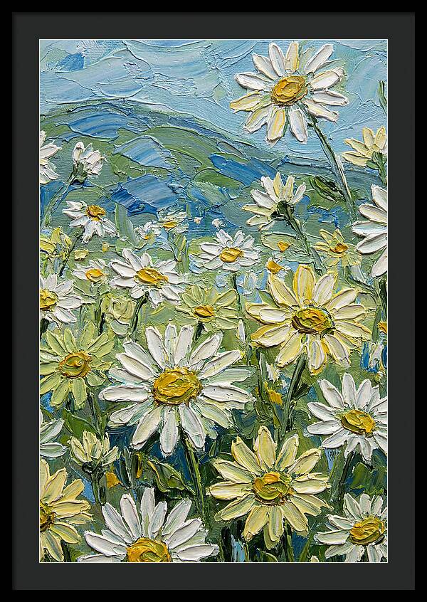 Daisy Landscape In Bloom