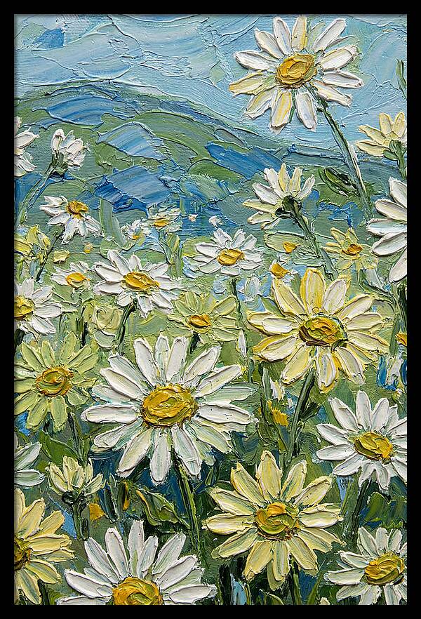 Daisy Landscape In Bloom