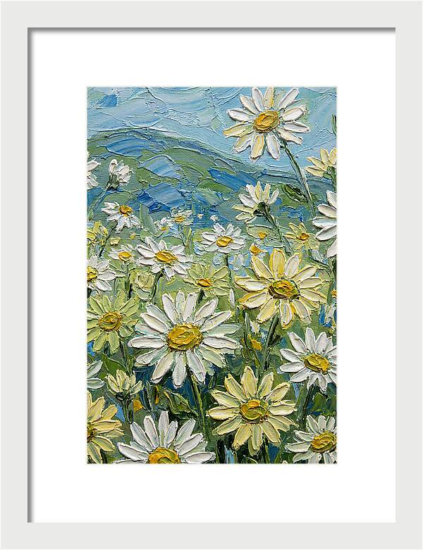 Daisy Landscape In Bloom