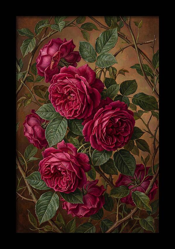 Damask Roses In Deep Crimson And Magenta