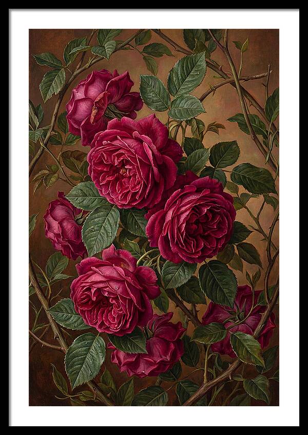 Damask Roses In Deep Crimson And Magenta