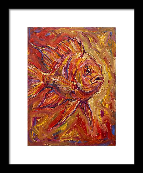 Damselfish In Vibrant Colors