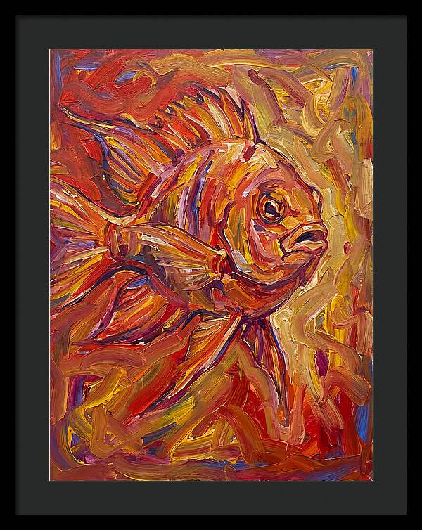 Damselfish In Vibrant Colors