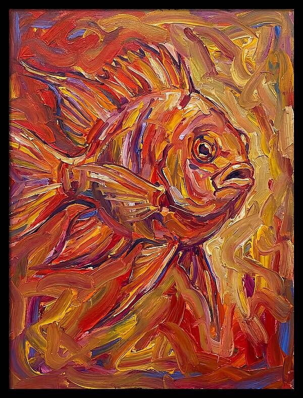 Damselfish In Vibrant Colors