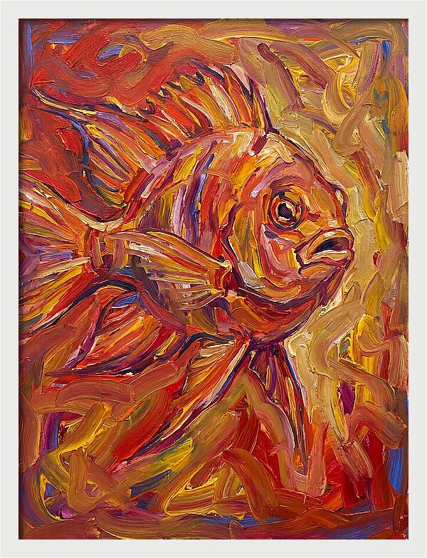 Damselfish In Vibrant Colors
