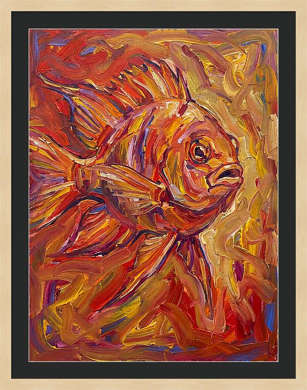 Damselfish In Vibrant Colors