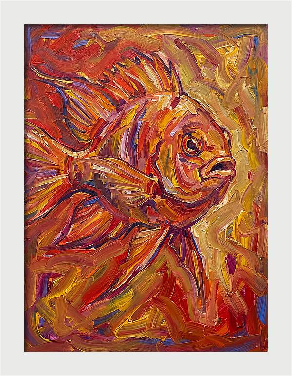 Damselfish In Vibrant Colors