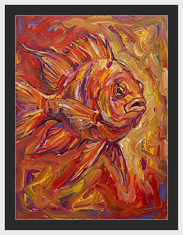Damselfish In Vibrant Colors
