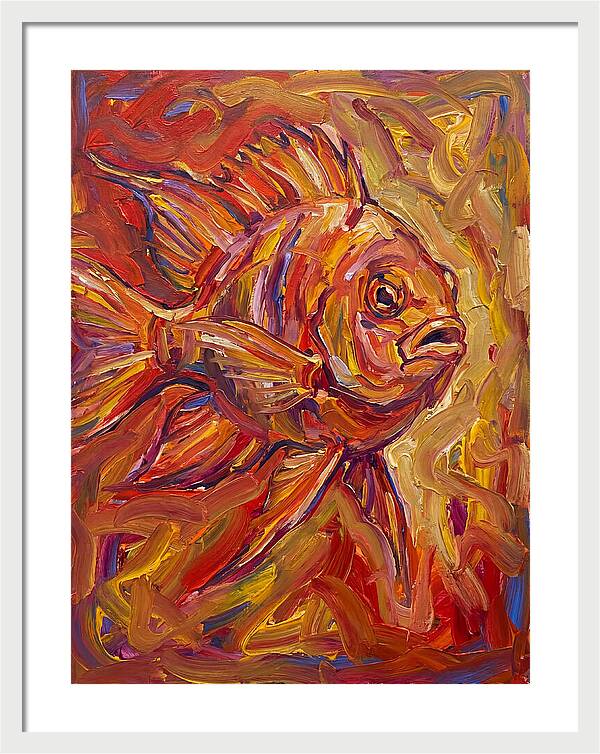 Damselfish In Vibrant Colors