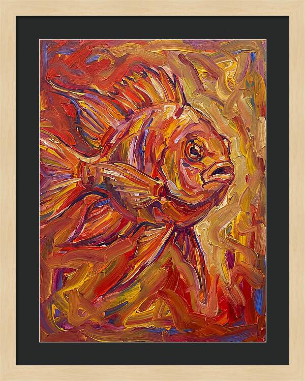 Damselfish In Vibrant Colors