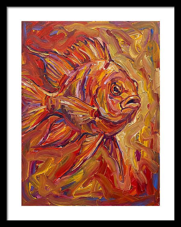 Damselfish In Vibrant Colors