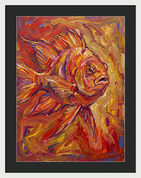 Damselfish In Vibrant Colors