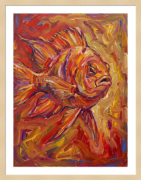 Damselfish In Vibrant Colors