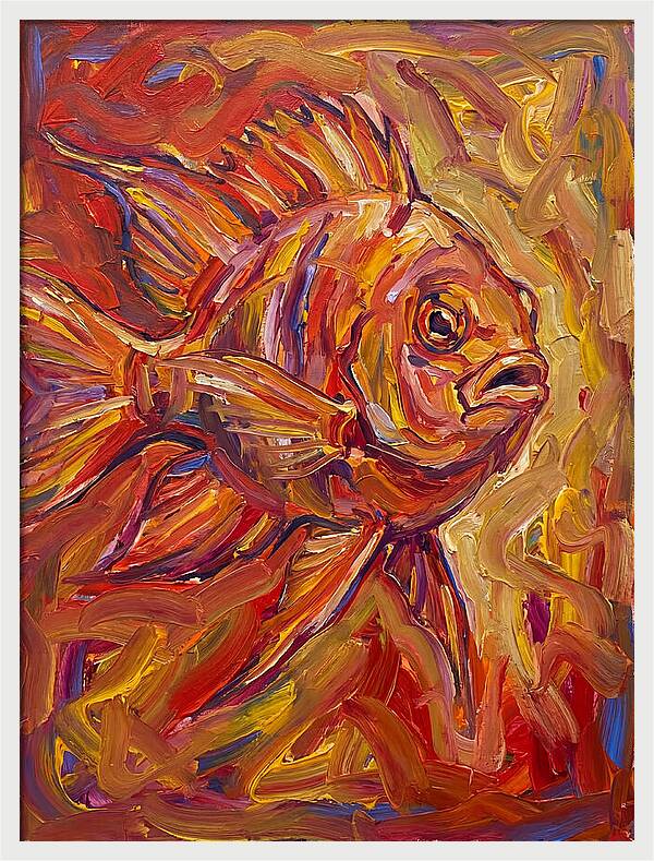 Damselfish In Vibrant Colors