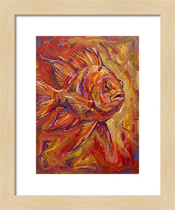 Damselfish In Vibrant Colors