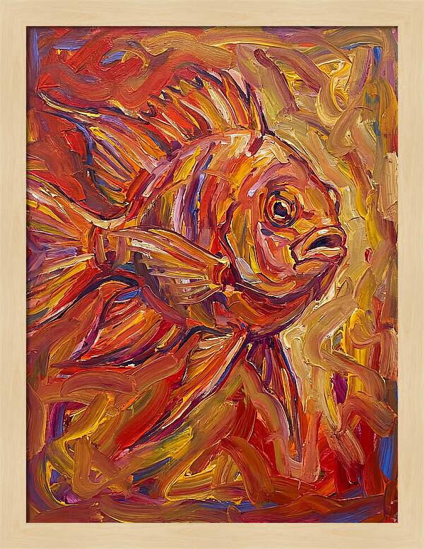 Damselfish In Vibrant Colors