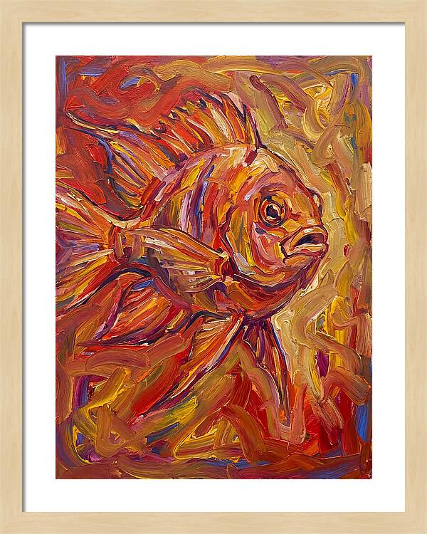 Damselfish In Vibrant Colors