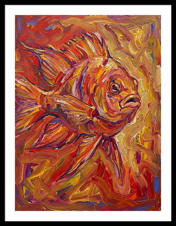 Damselfish In Vibrant Colors