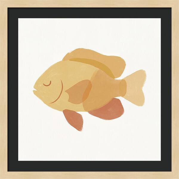 Damselfish Minimalism