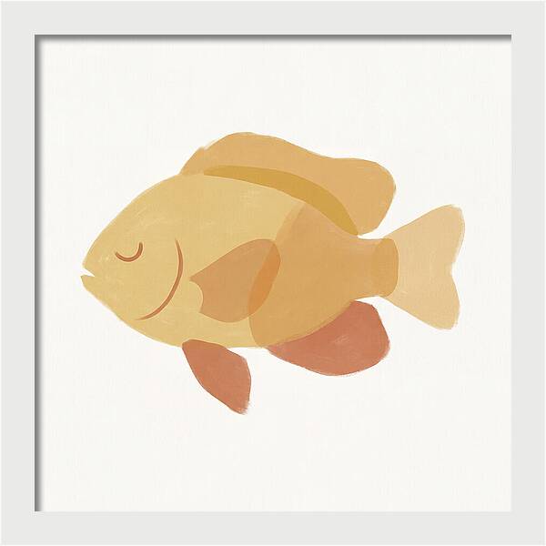 Damselfish Minimalism