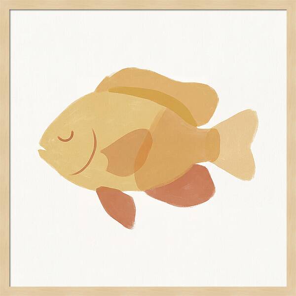 Damselfish Minimalism