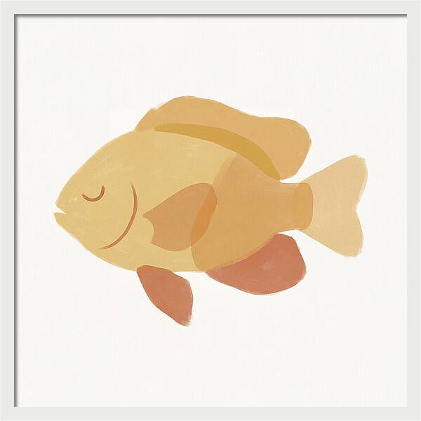 Damselfish Minimalism