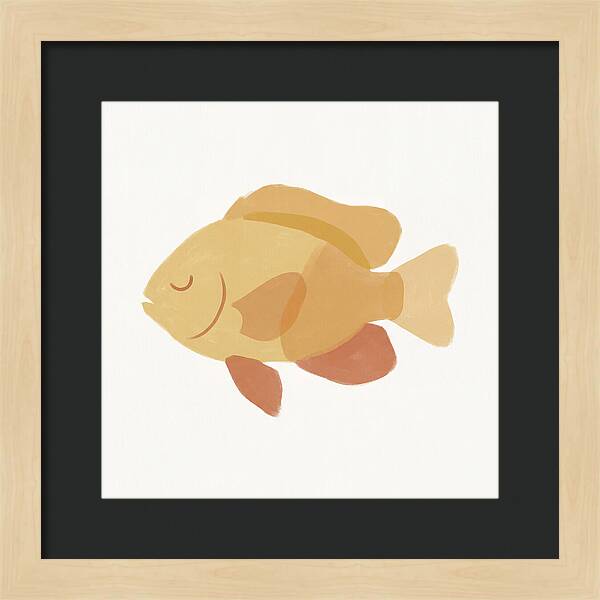 Damselfish Minimalism