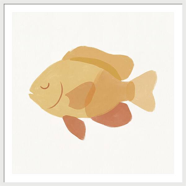 Damselfish Minimalism