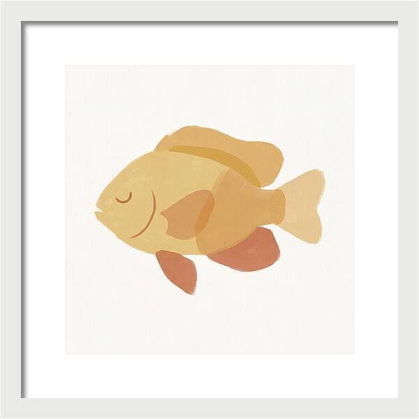 Damselfish Minimalism