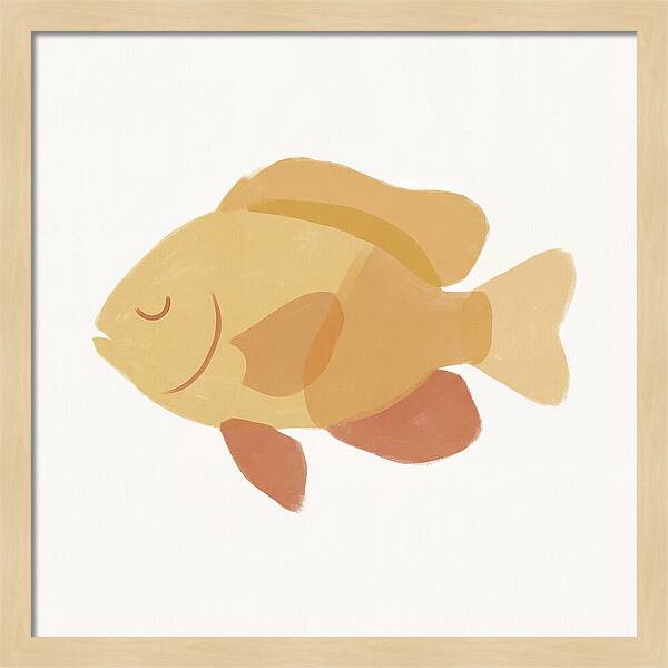 Damselfish Minimalism