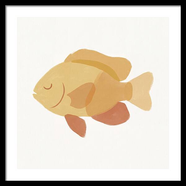Damselfish Minimalism