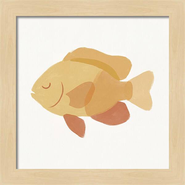Damselfish Minimalism
