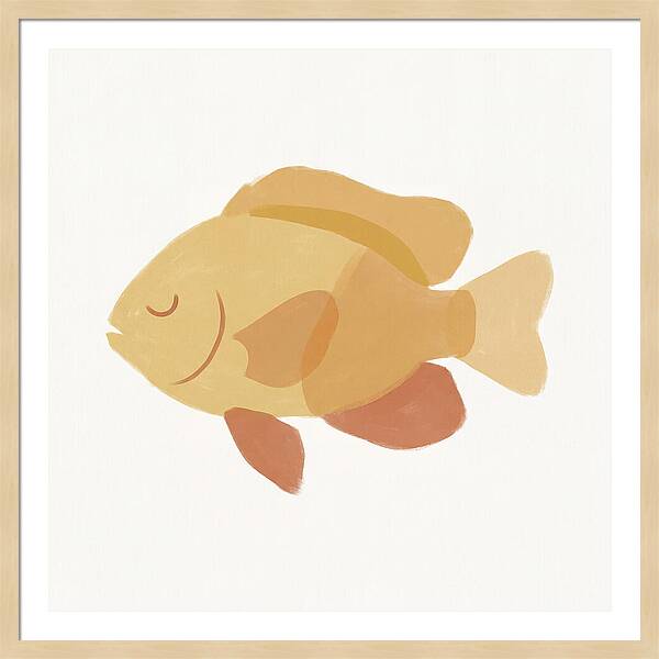 Damselfish Minimalism