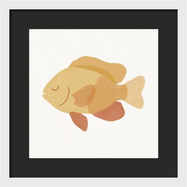 Damselfish Minimalism